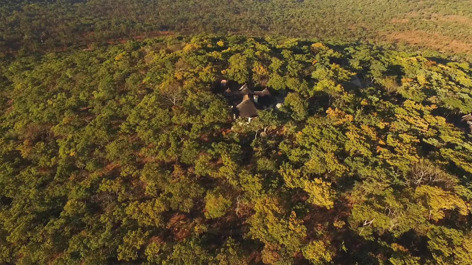 Musangano Lodge Odzi Екстер'єр фото