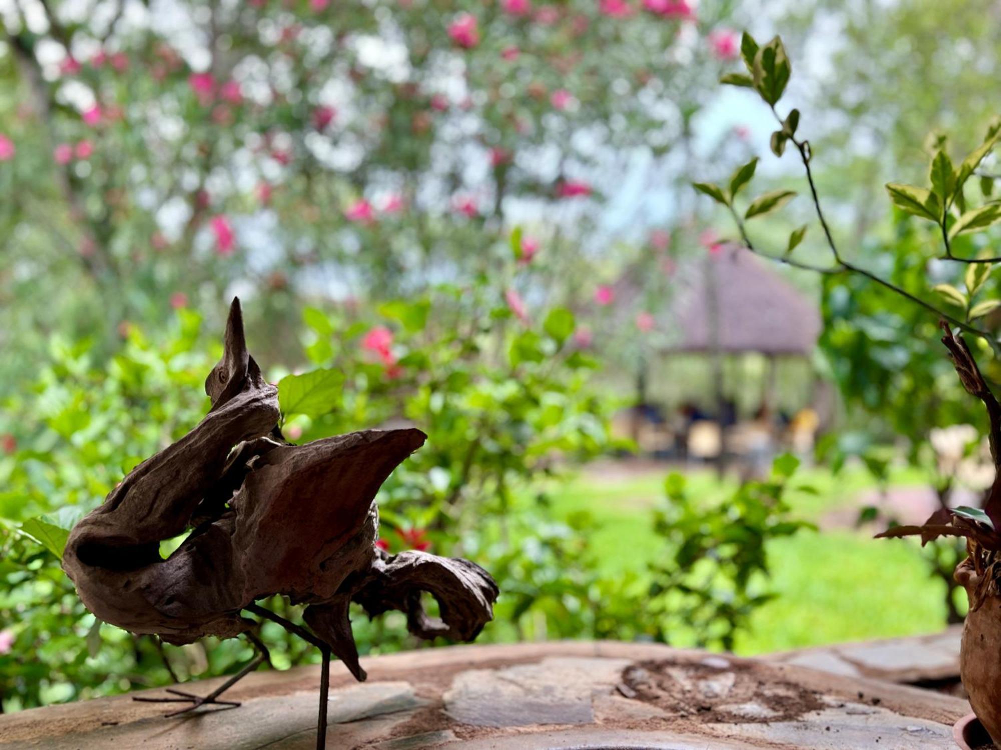 Musangano Lodge Odzi Екстер'єр фото