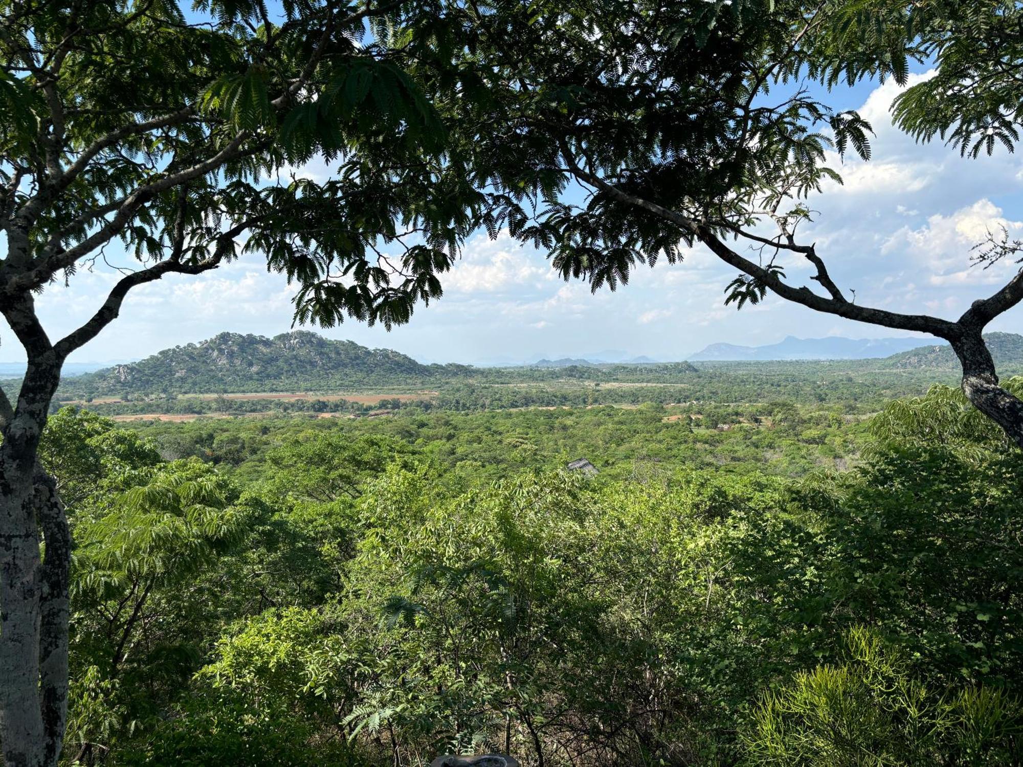 Musangano Lodge Odzi Екстер'єр фото